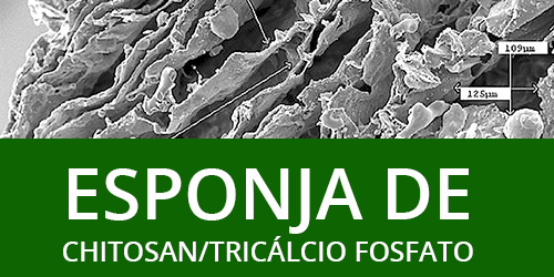 Avaliação da utilização da esponja de chitosan/tricálcio fosfato no reparo de defeitos ósseos em calvária de ratos: desenho split-mouth